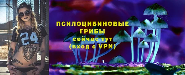 марки lsd Богородицк